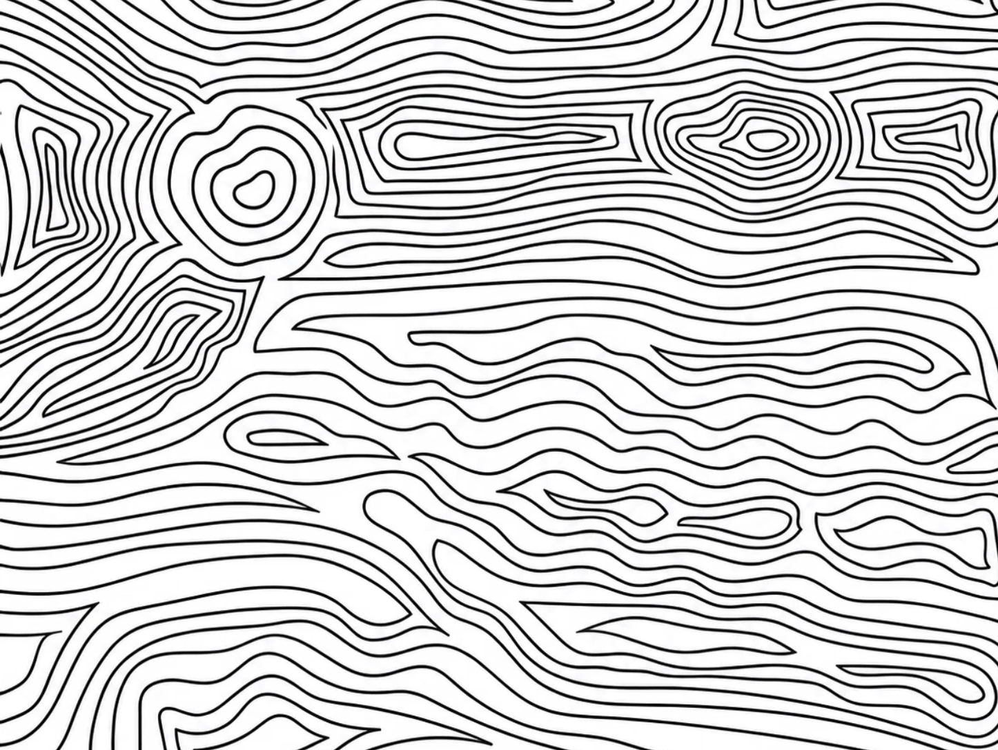 Black and white topographic map with contour lines of varying shapes and sizes.