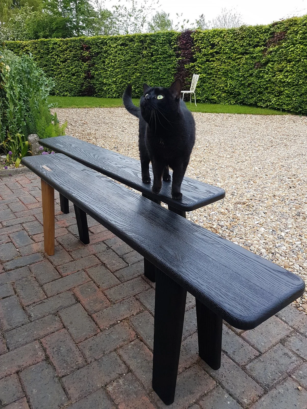 A black cat standing on a dark wooden bench outdoors, with a garden and a white chair in the background.