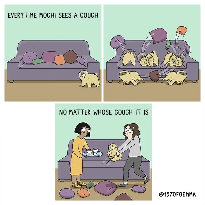20231109_sofa_LR.jpg