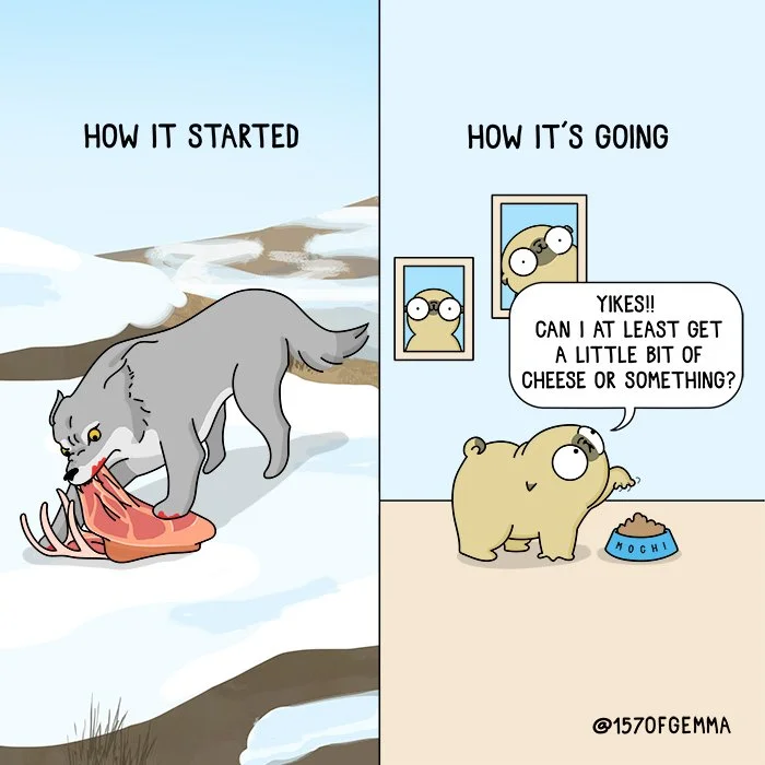 20220228_wolf how it started_LR.jpg