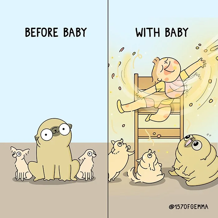 20220531_before_after_baby_LR.jpg