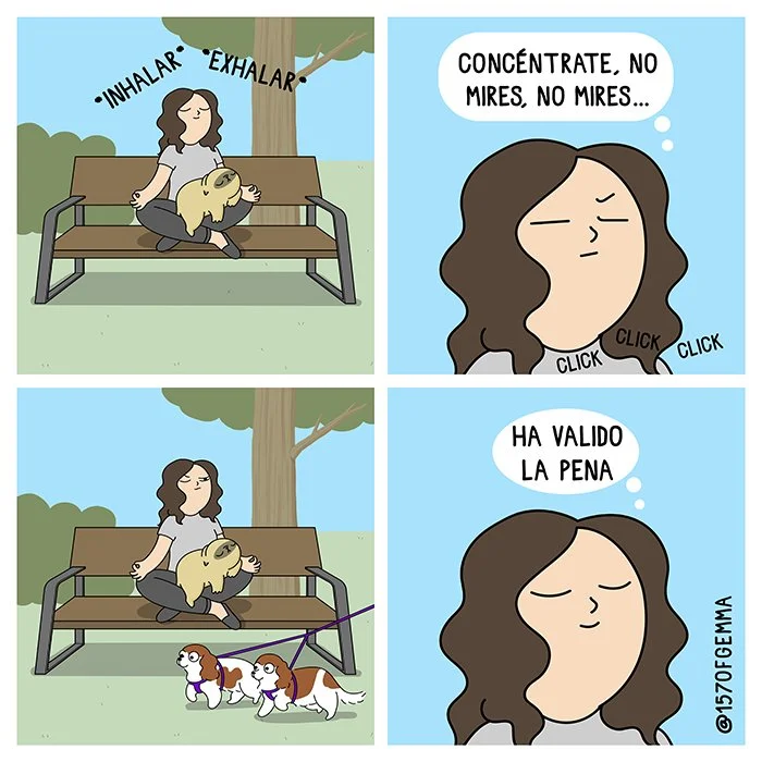 20220729_yoga_LR_ES.jpg