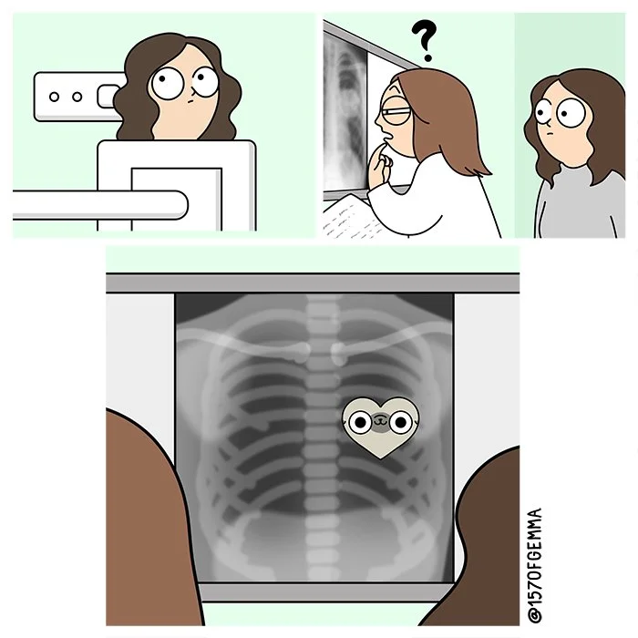 20220315_xray_LR.jpg