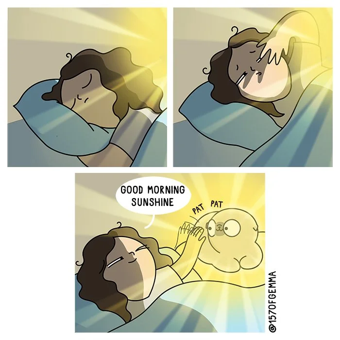 20221006_sunshine_LR.jpg