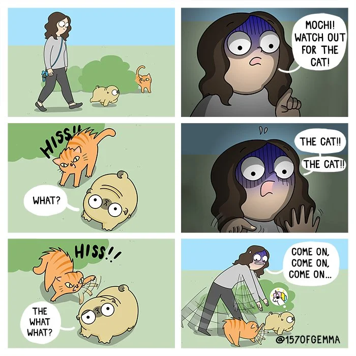 20220727_cat_LR.jpg