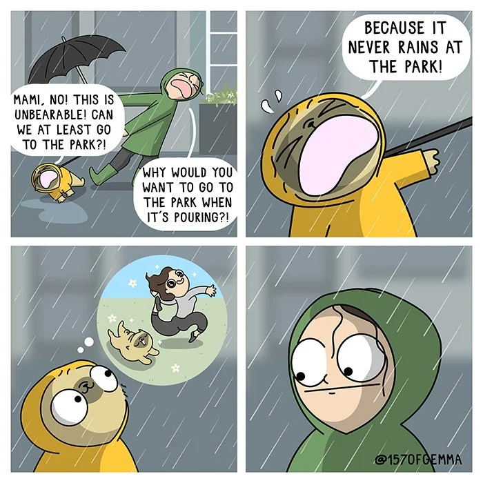 20221018_rain_LR.jpg