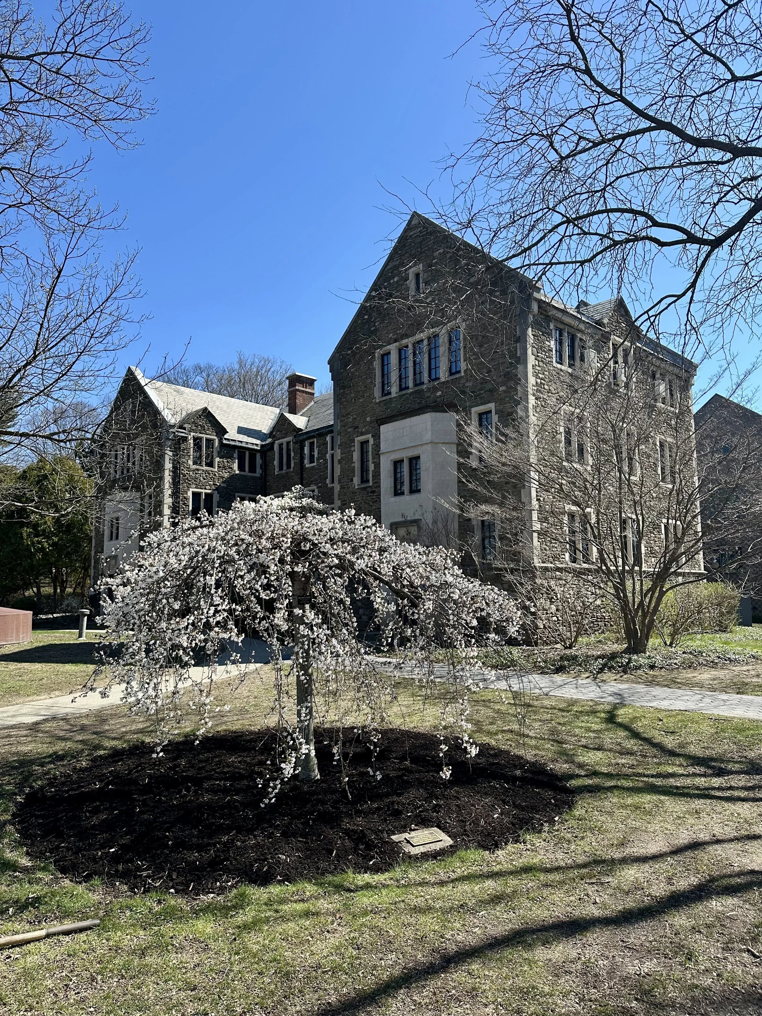 How to Make the Most of Your College Visits