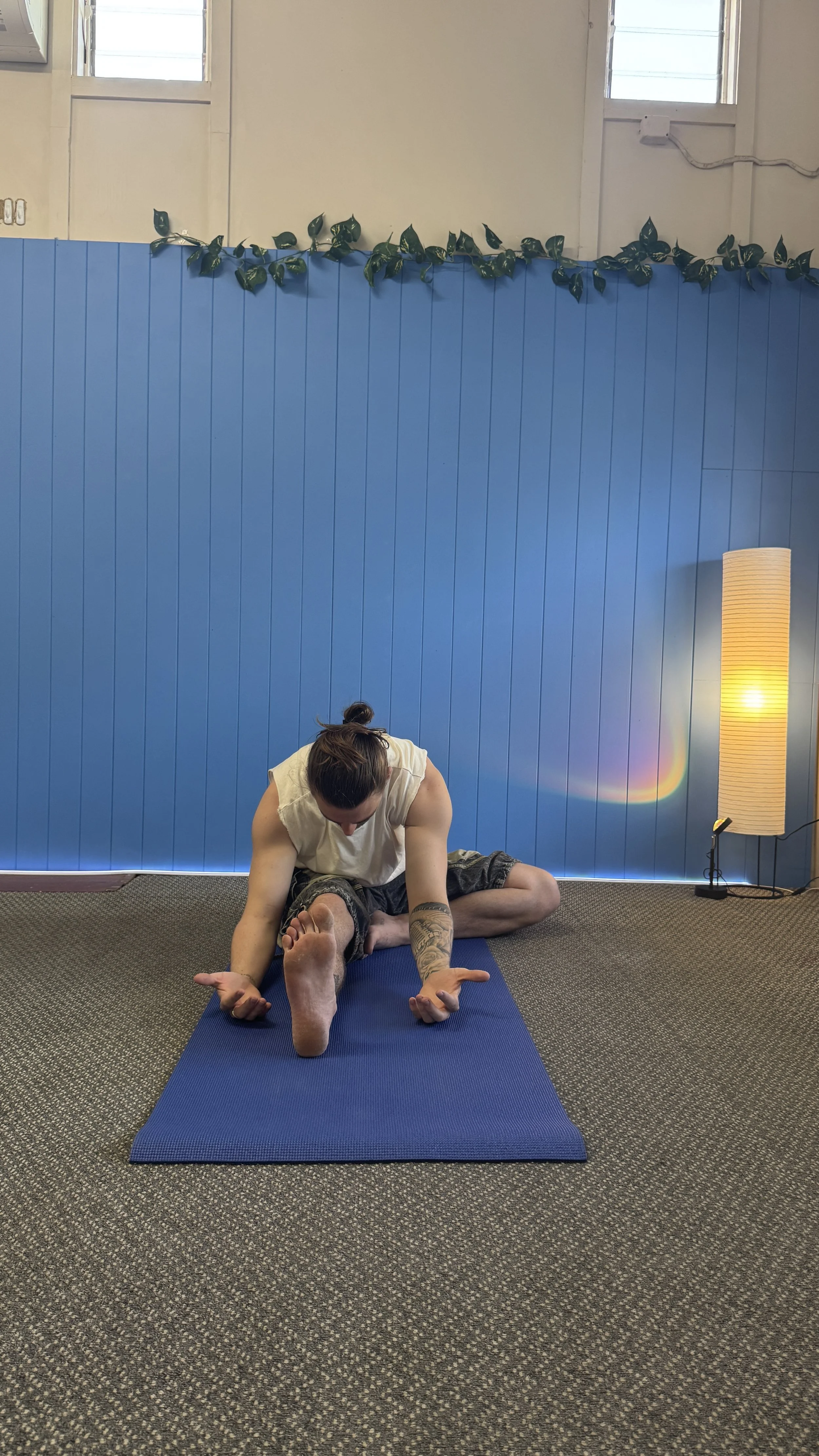 A person practicing yoga inside a room with a blue wall and carpeted floor. They are on a blue yoga mat, sitting in a forward bend pose, grabbing their feet. There is a tall floor lamp with a warm glow to the right and a green leafy plant foliage decoration above the wall.
