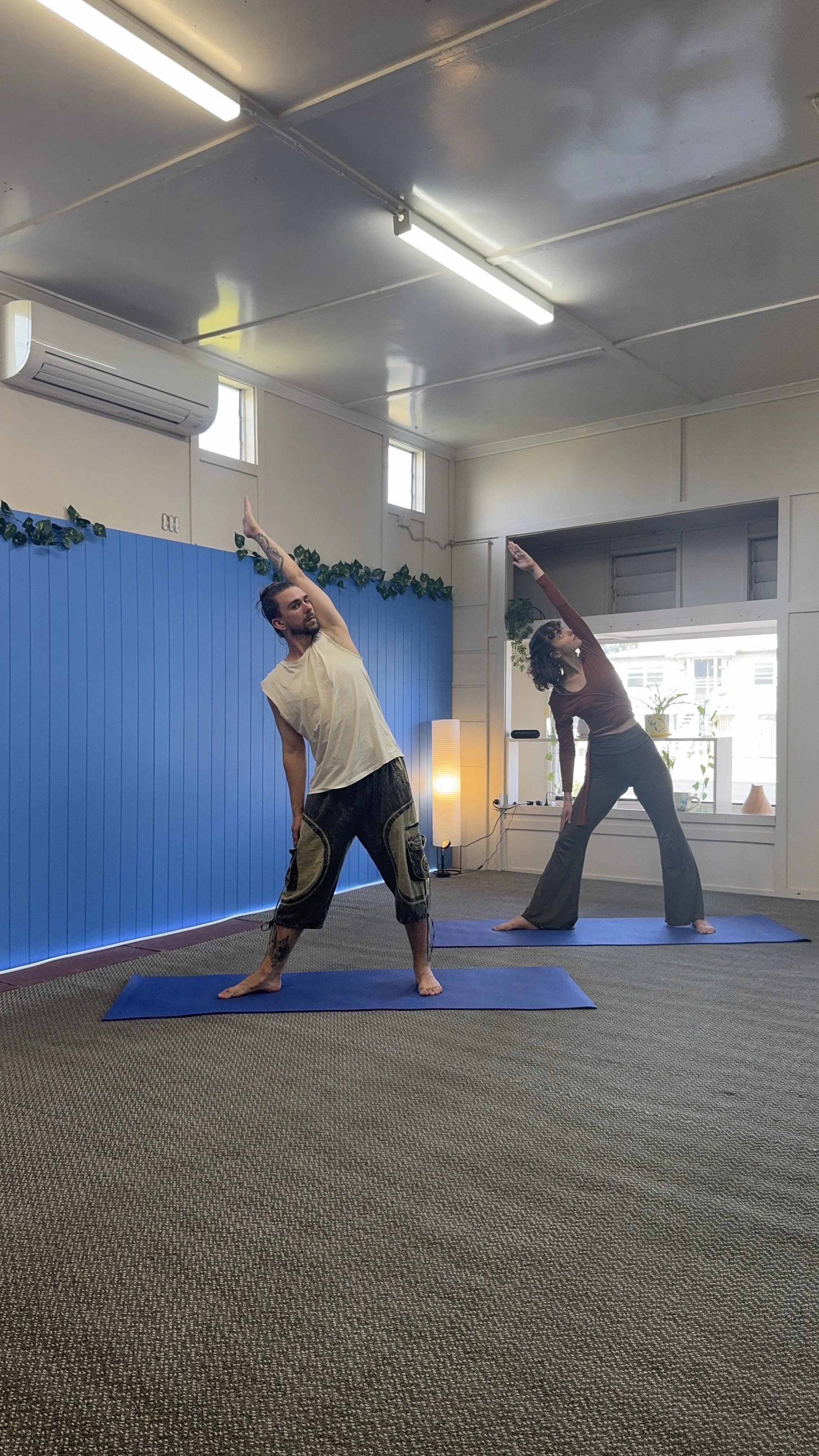 Two people practicing yoga in a room with large windows, blue wall, and indoor plants. They are stretching on yoga mats.