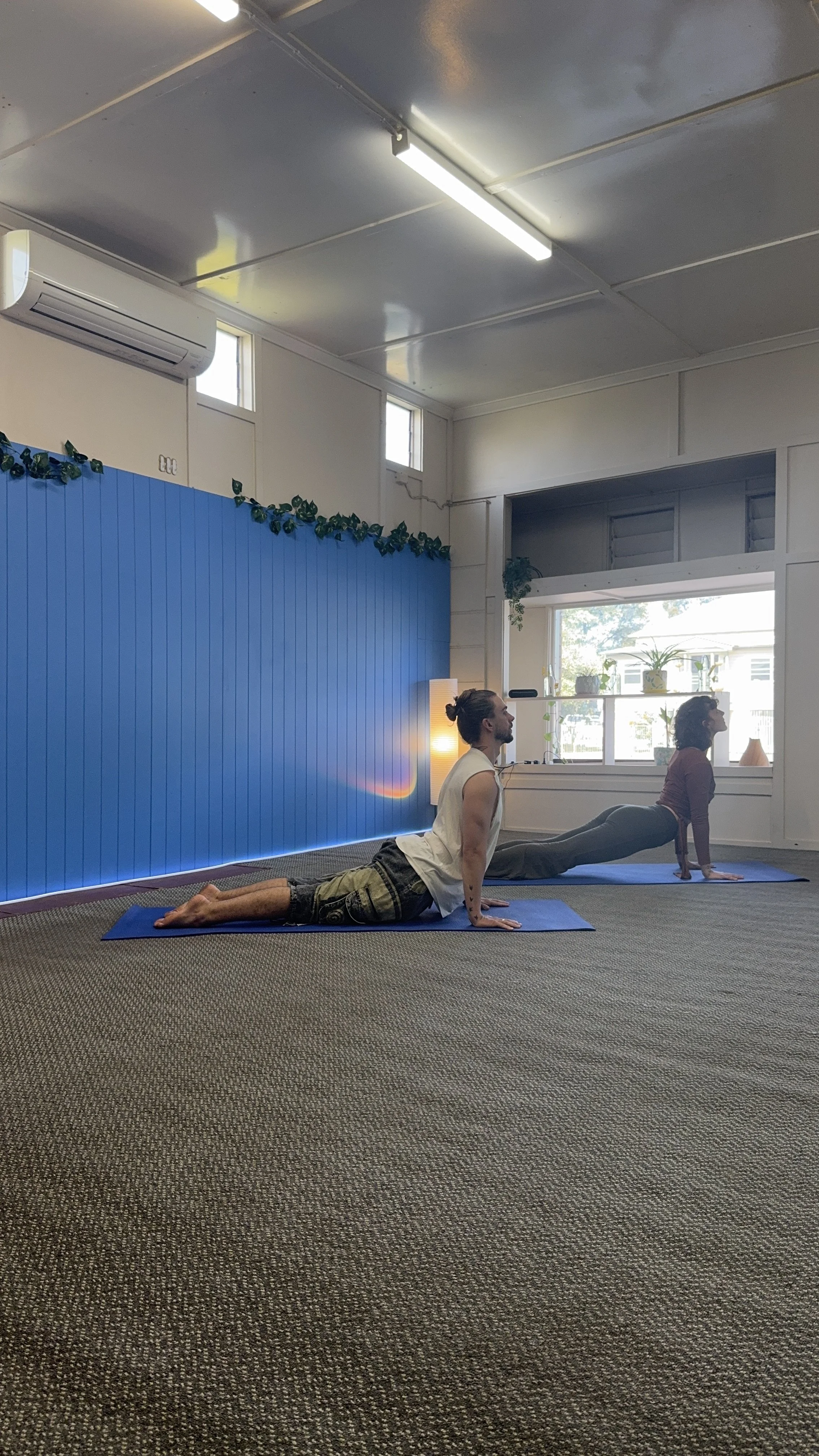 A man and woman practicing yoga indoors on mats, with the man in an upward dog pose and the woman in a plank pose, near a window with plants and decorative items.