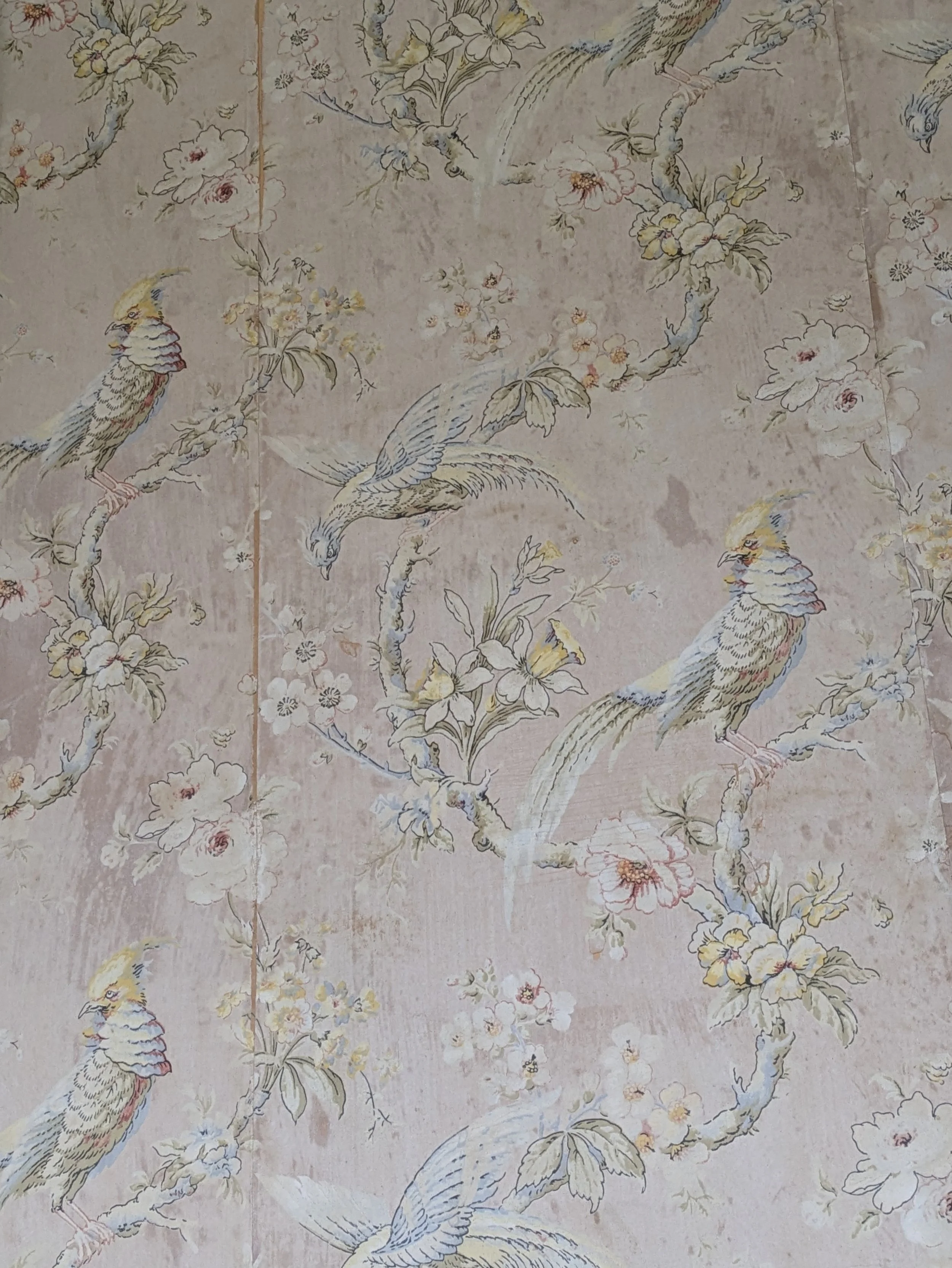 Pale pink wallpaper of florals with white birds
