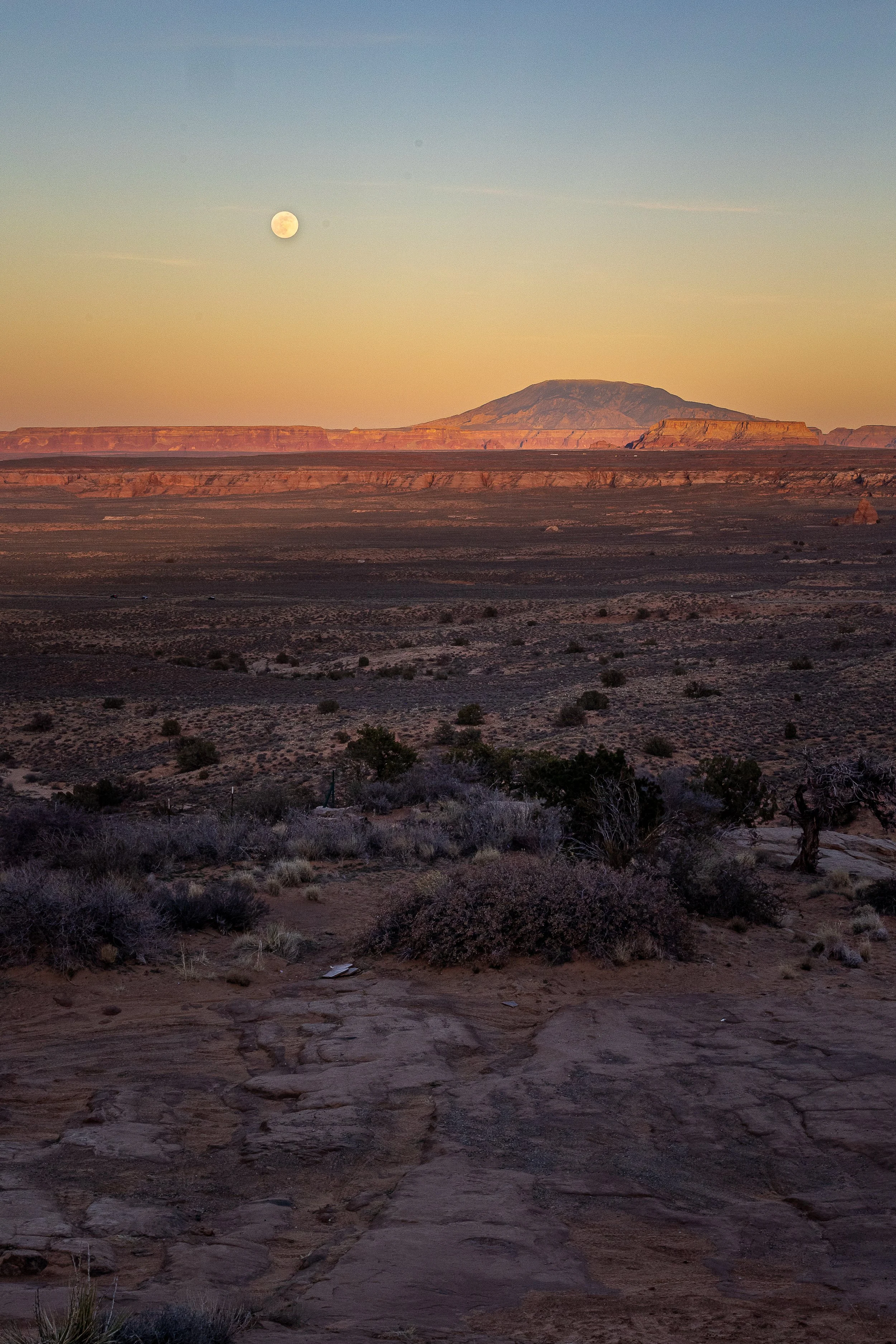 Desert landscape at dusk with a mountain in the background, viewed over a plain with sparse vegetation, and a full moon in the sky.