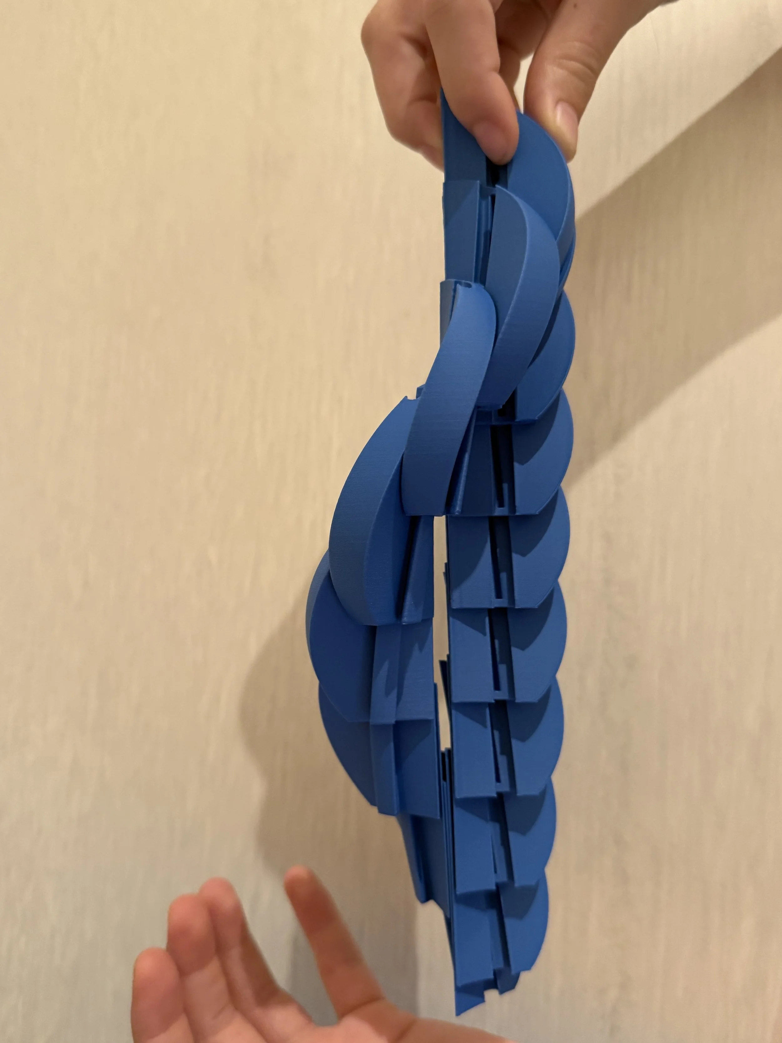 long.jpg
