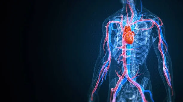 Cardiovascular