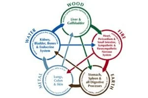 Five Element Acupuncture representing harmony of wood, fire, earth, metal, and water