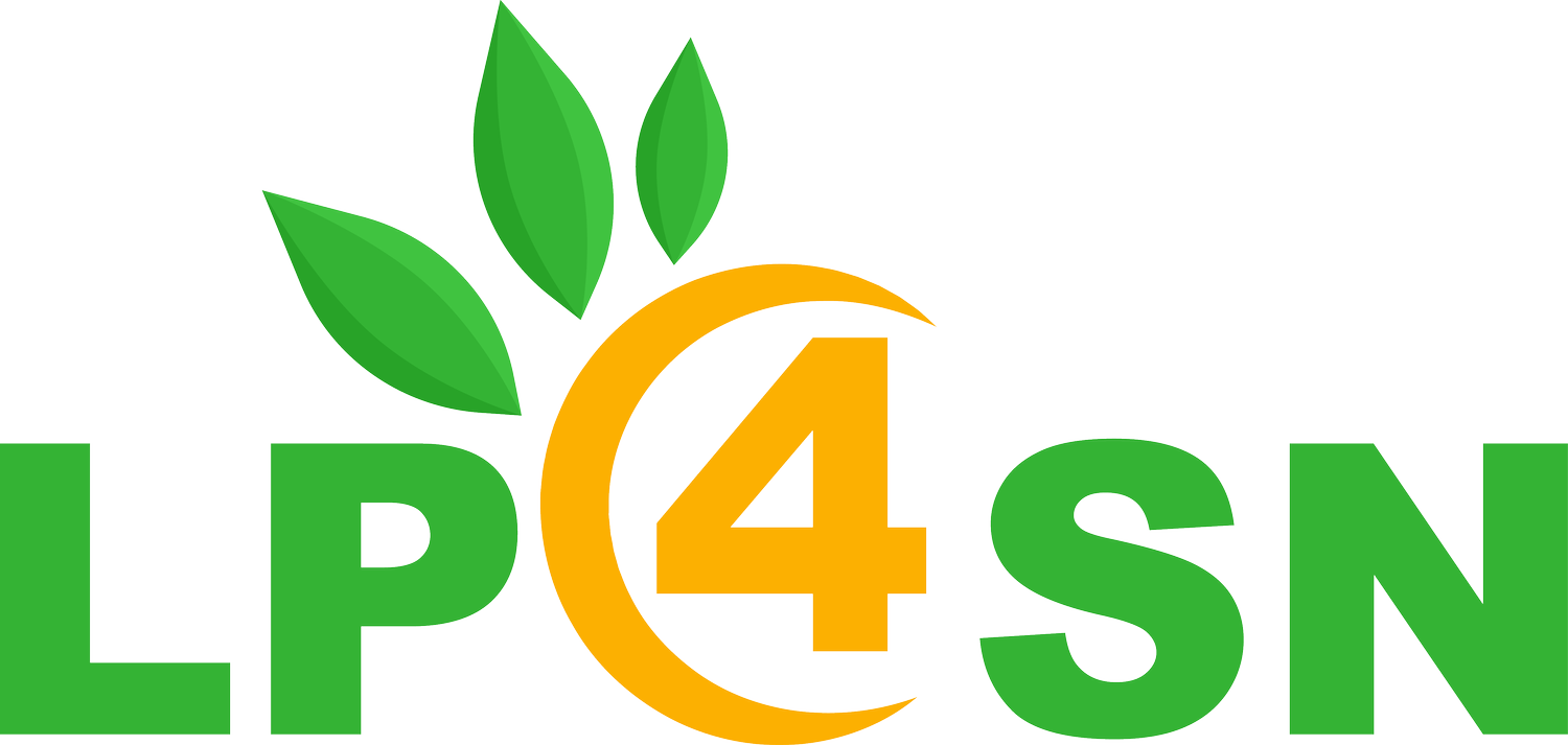 Life Planning 4 Special Needs - Increasing Retirement Income - Lowering Taxes in Retirement - Estate Planning - Special Needs Trust Funding