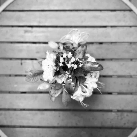 The Fold Archives