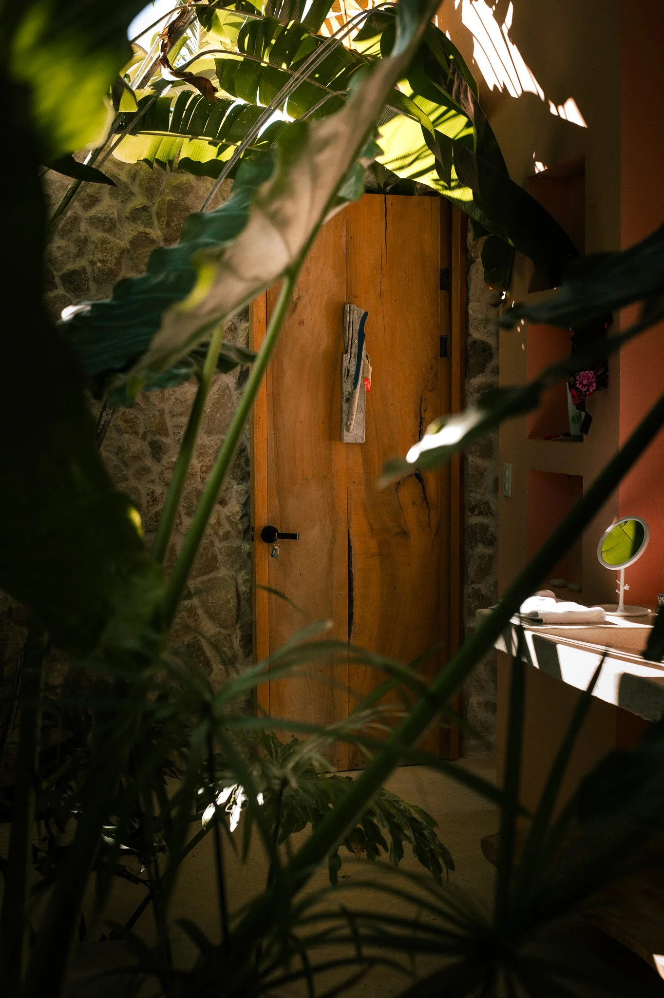 Shot of a wooden door seen through dense green foliage in a room with stone and plaster wall.