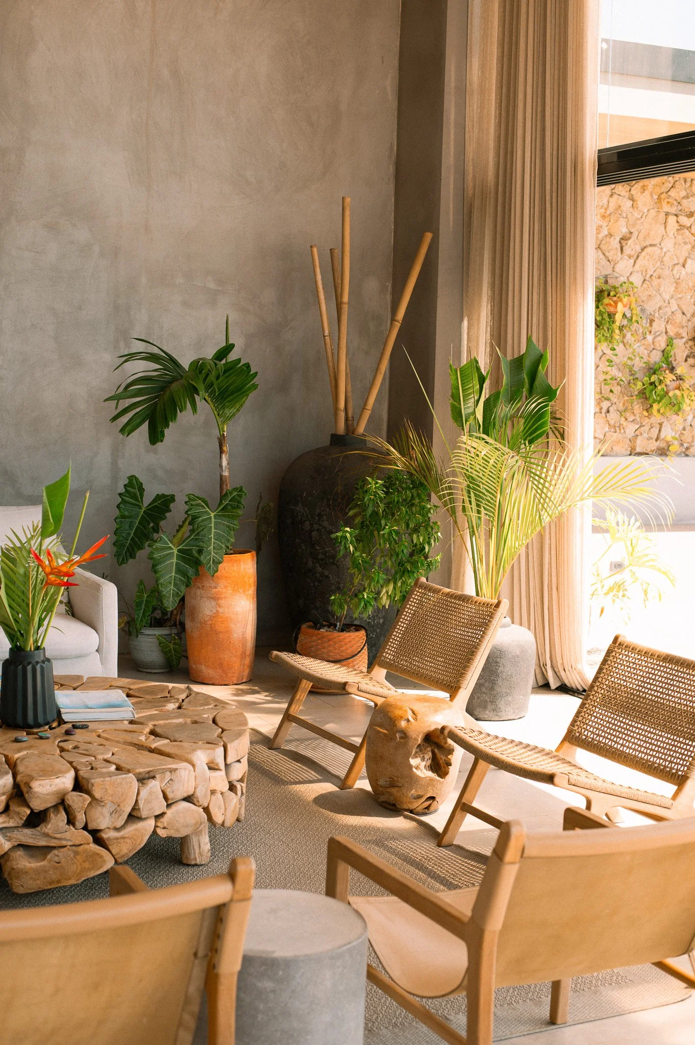 A cozy indoor space decorated with various green plants, rattan chairs, and natural wood furniture. There's a large clay pot with tall bamboo sticks, a stone table, and sunlight filtering through light-colored curtains.