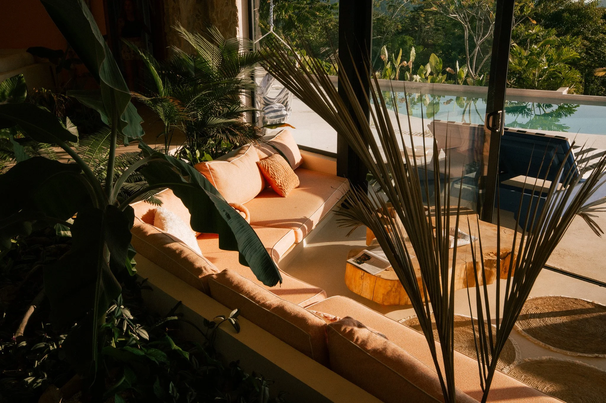 An indoor seating area with a cushioned bench and throw pillows, surrounded by lush indoor plants, with large glass sliding doors opening to an outdoor pool and garden area.
