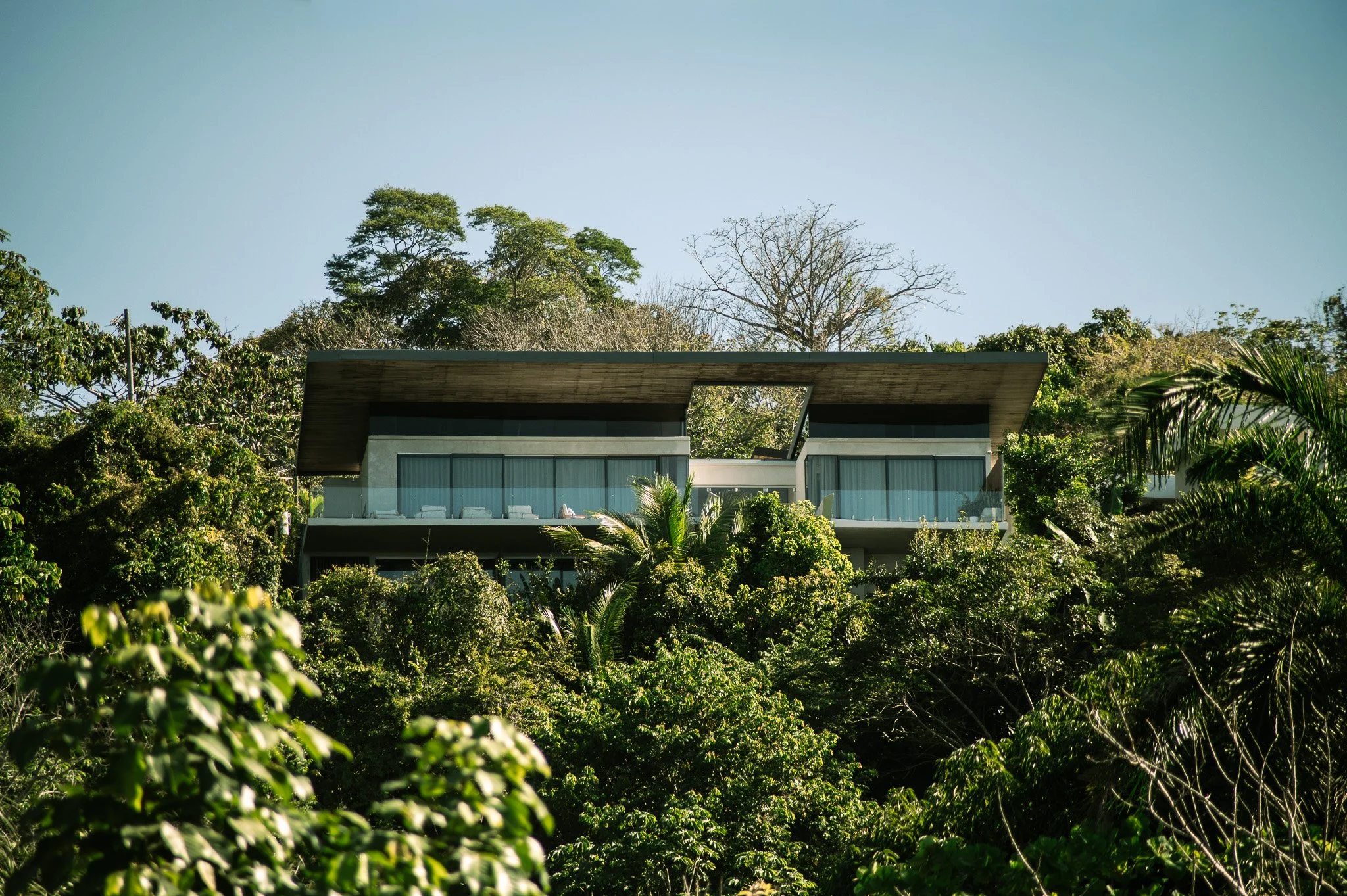 Modern house with large glass windows and a flat roof, surrounded by dense green trees and vegetation, under a clear blue sky.