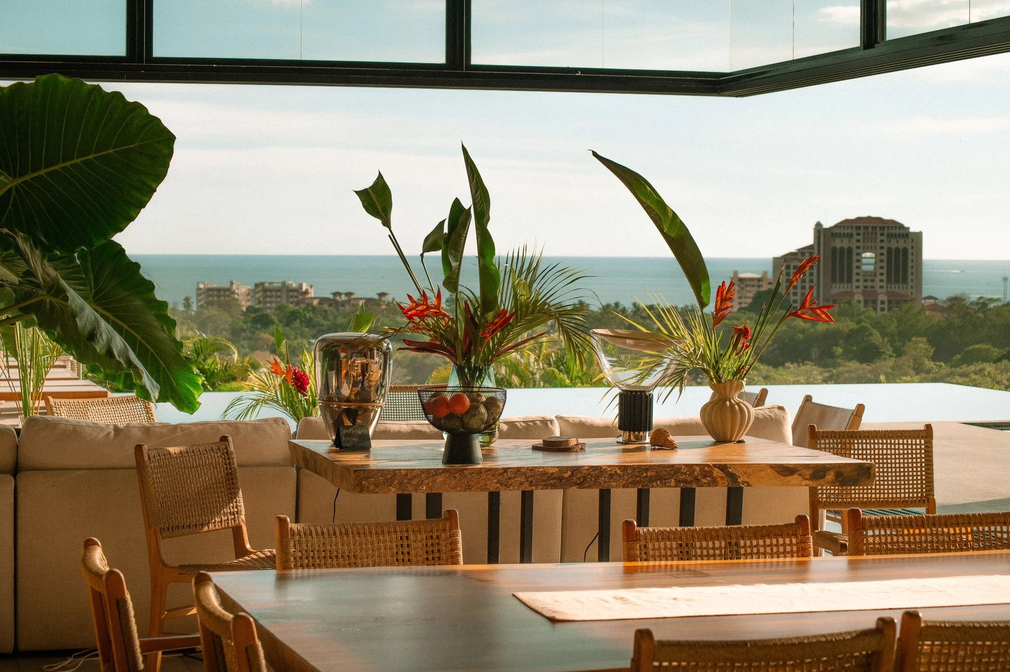 Indoor space with wooden tables, woven chairs, various potted plants on the table and window ledge, overlooking a cityscape with buildings and the ocean in the background.