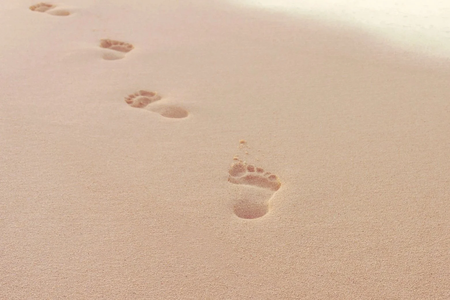Footprints in the sand on a beach.