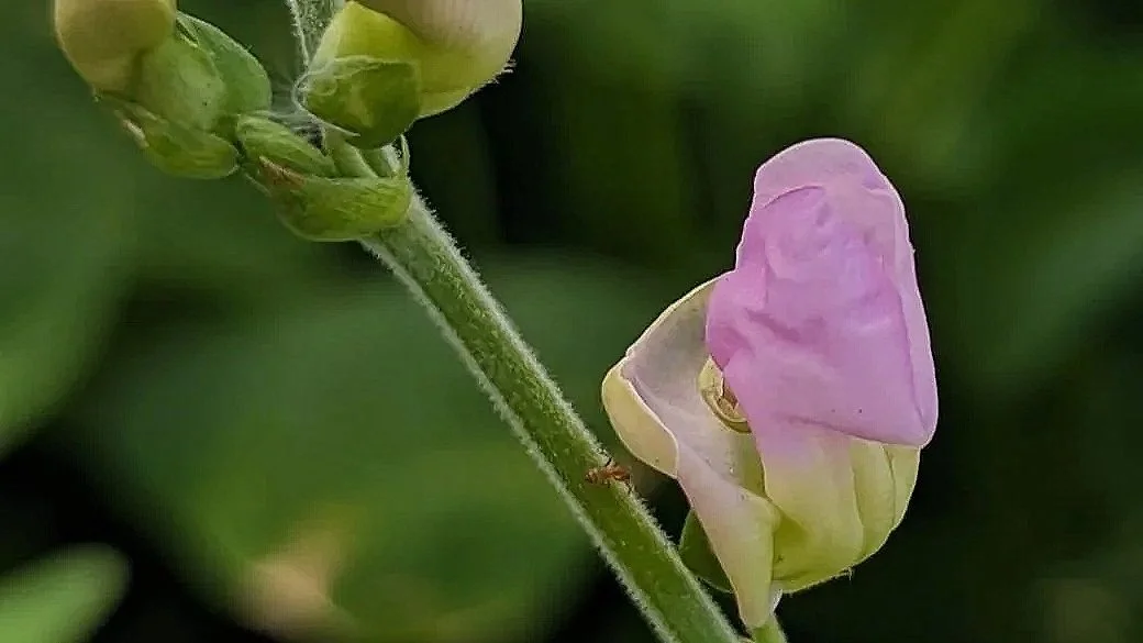 PXL_20231023_205930952.jpg