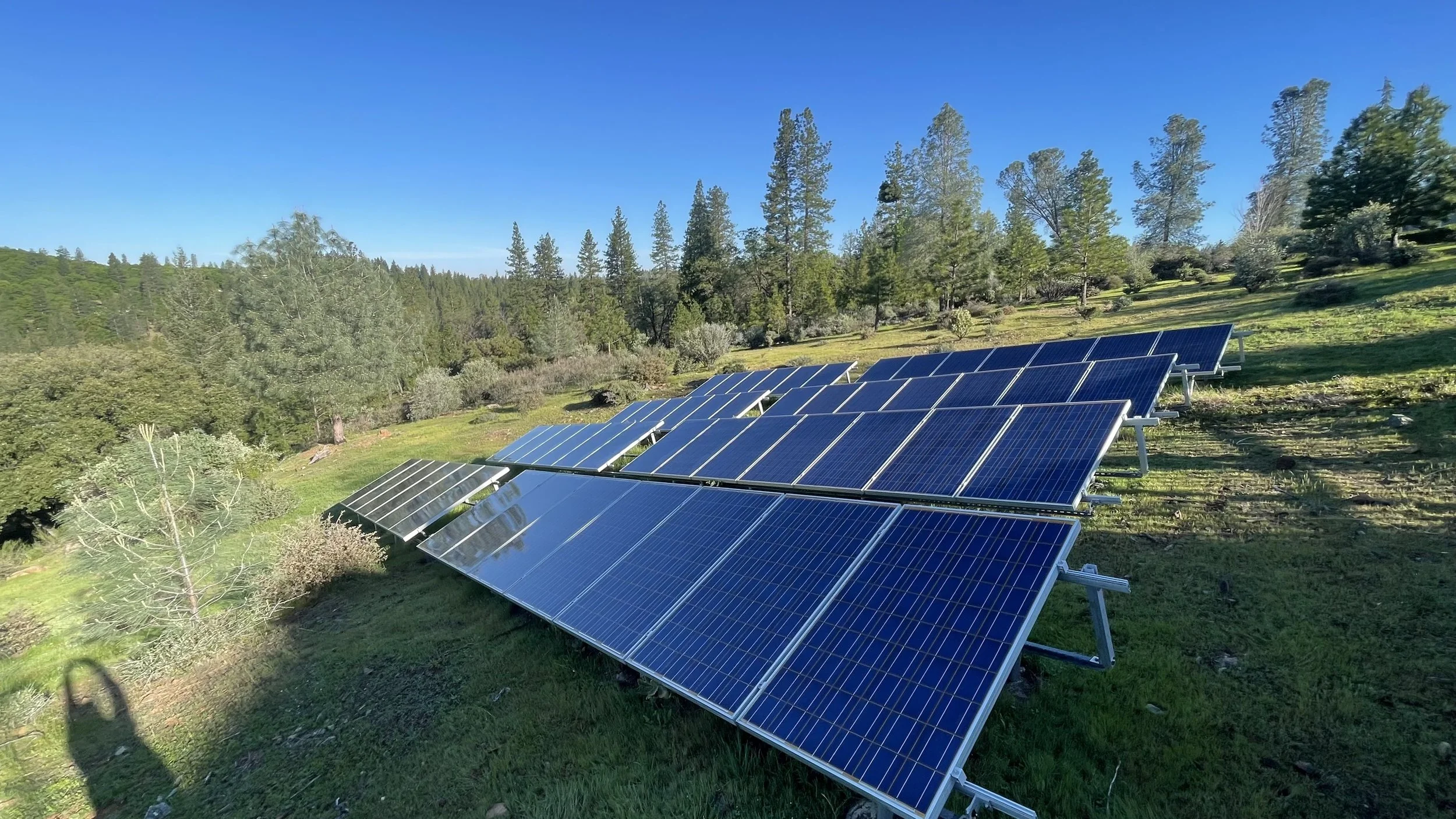 Solar panels installed on a grassy hillside surrounded by trees with a clear blue sky in the background.