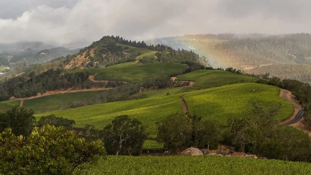 Bettinelli, Vineyards of Upper Range, Rutherford, Pritchard Hill