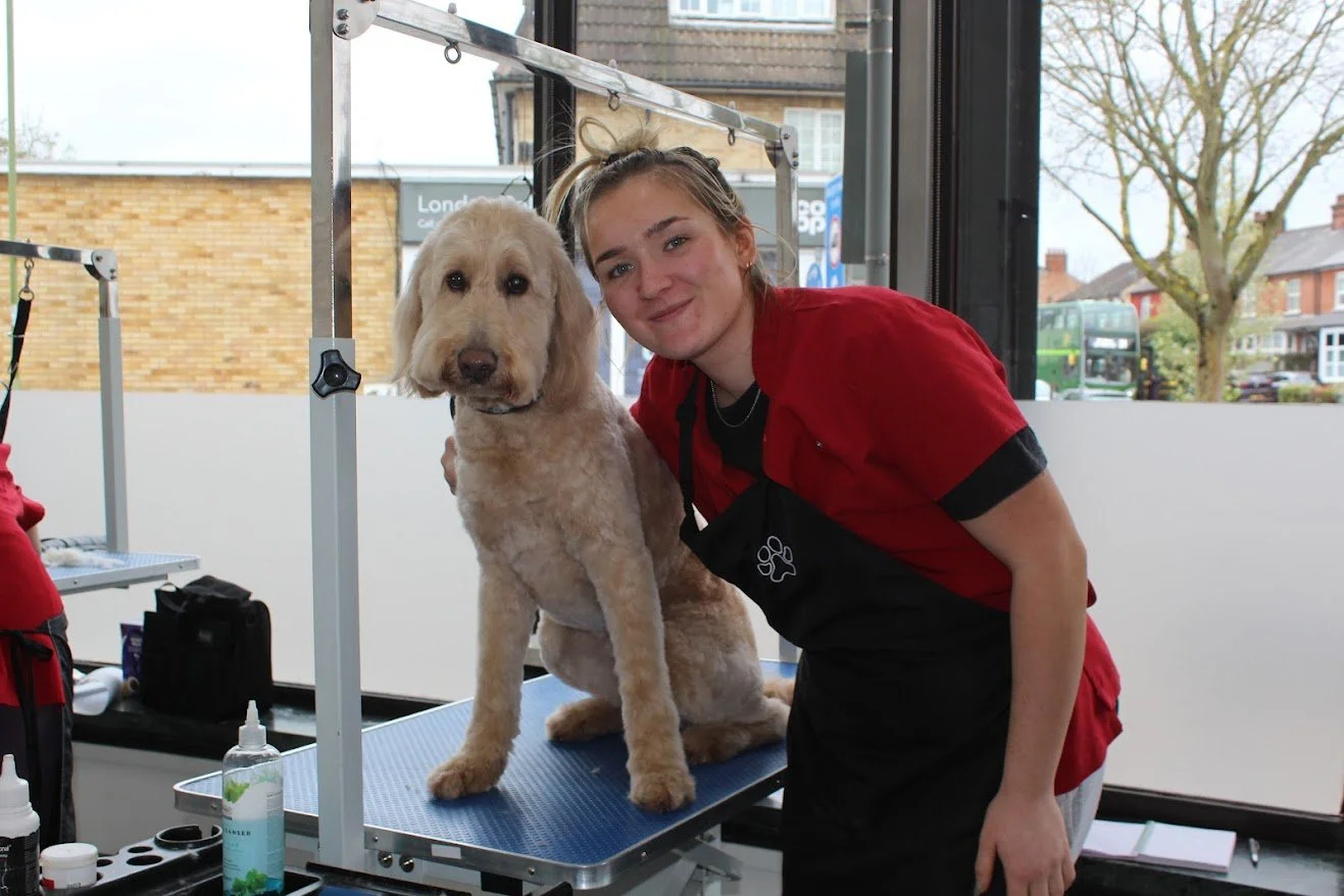 A woman in a red uniform kneels next to a golden retriever on a grooming table inside a pet grooming salon. The woman is smiling and the dog looks calm.