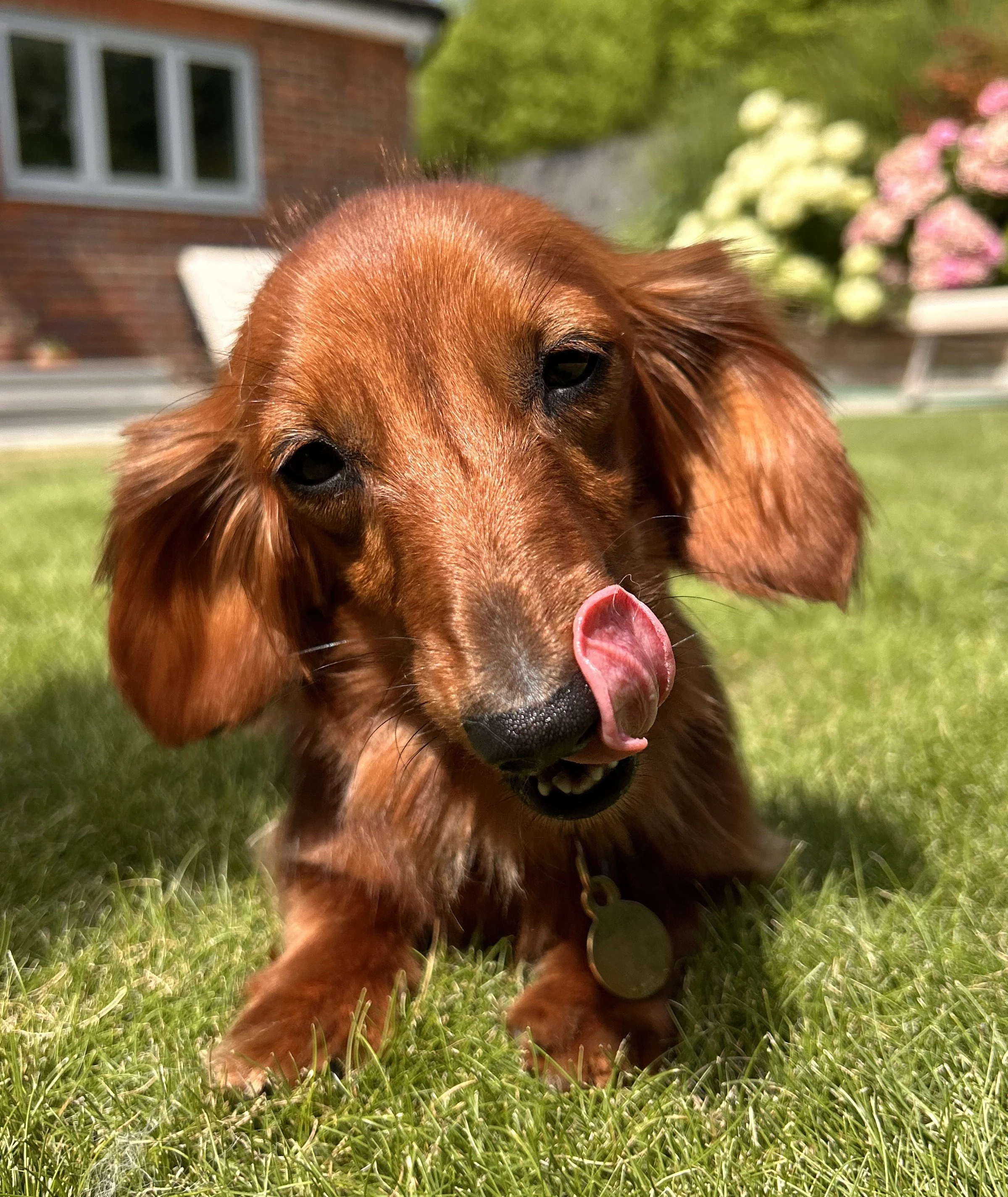 website6.jpeg