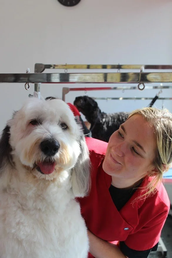 Woman with blonde hair and red grooming smock smiling with a fluffy white and black dog at a pet grooming salon.