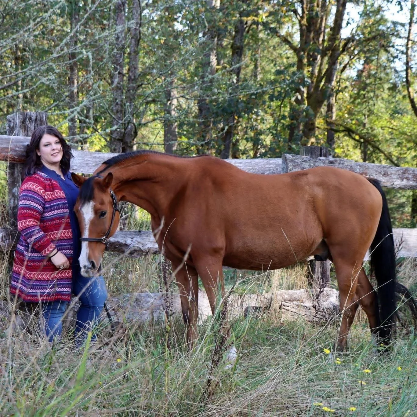 A woman wearing a colorful sweater standing beside a brown horse with a black mane and tail in a wooded area with a wooden fence in the background.
