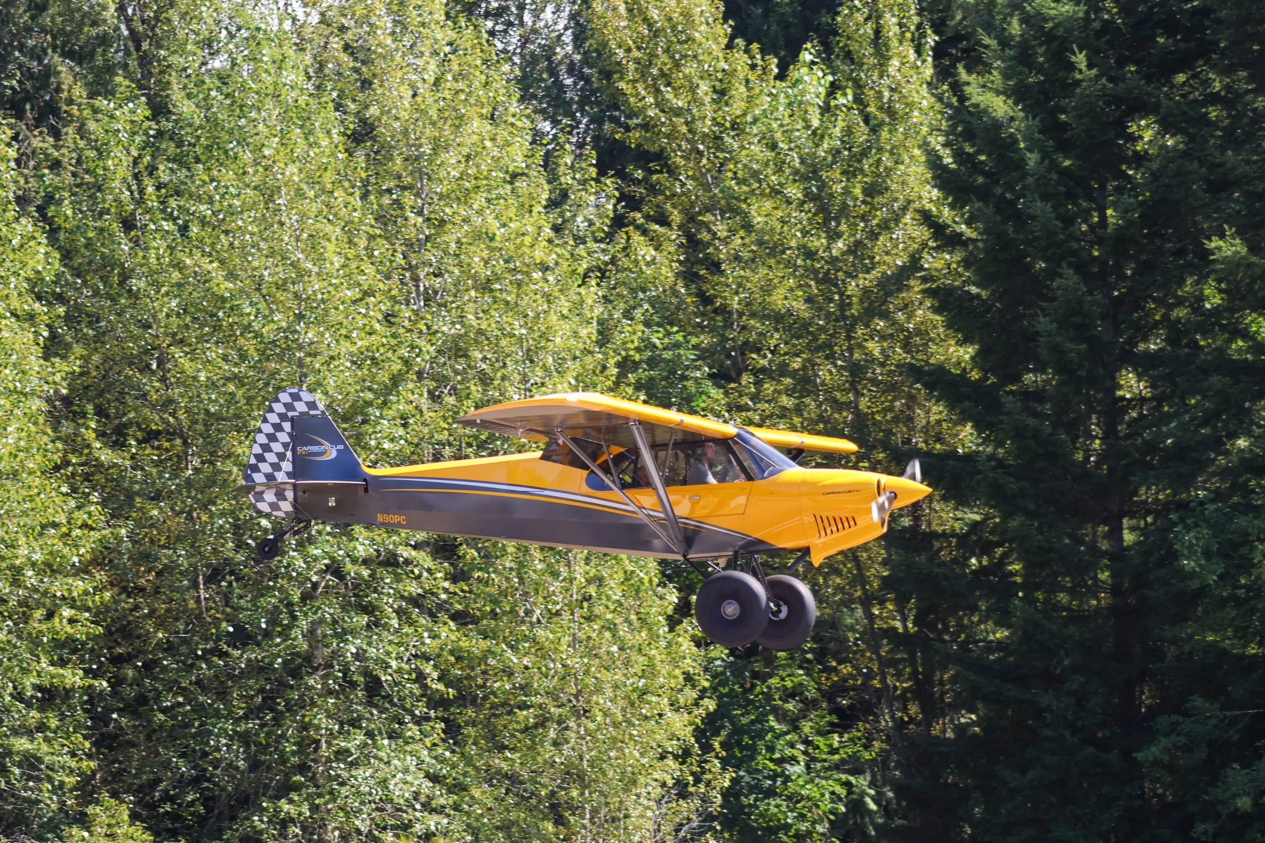 Concrete Fly - In 2026-110.jpg