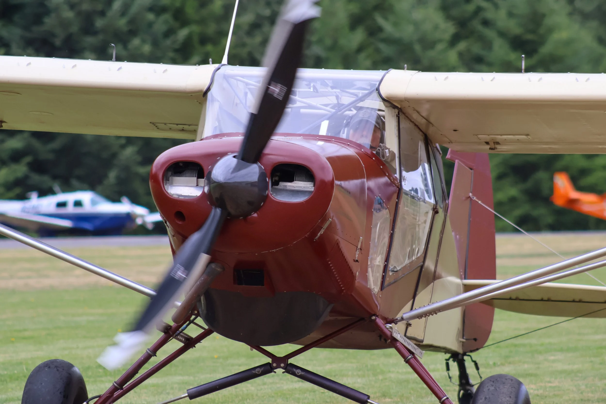 Concrete Fly - In 2026-074.jpg