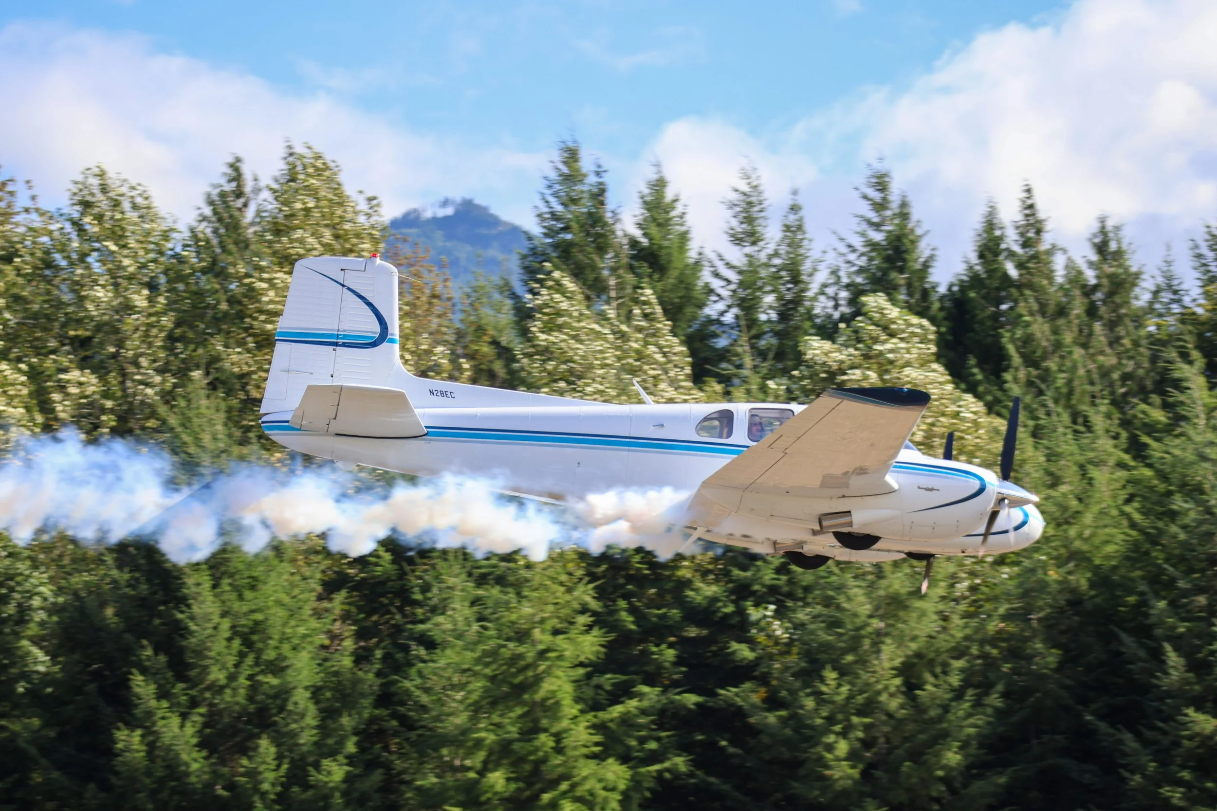 Concrete Fly - In 2026-085.jpg