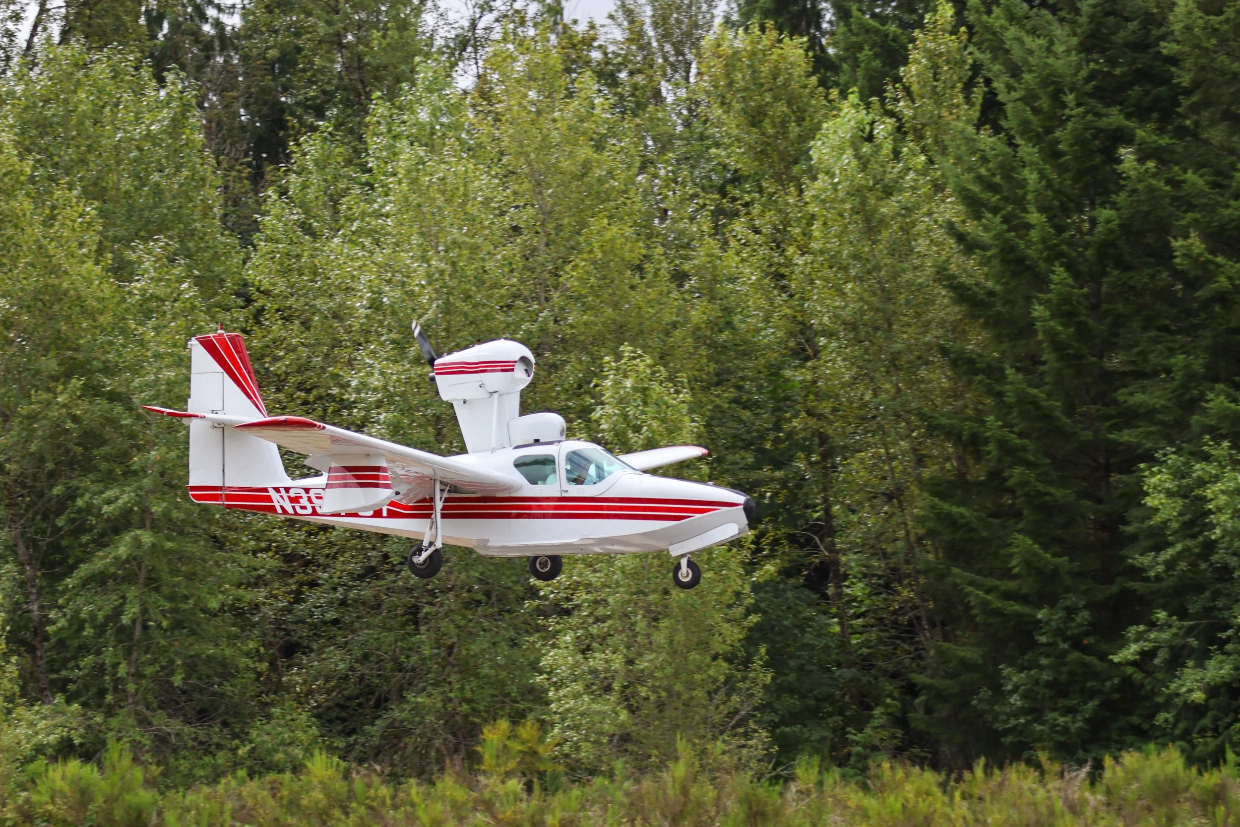 Concrete Fly - In 2026-043.jpg