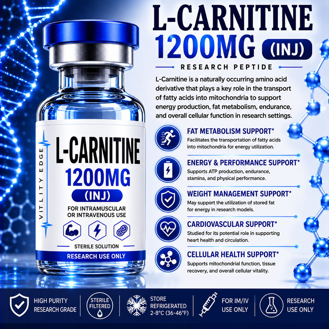 L-Carnitine (1200mg) Research