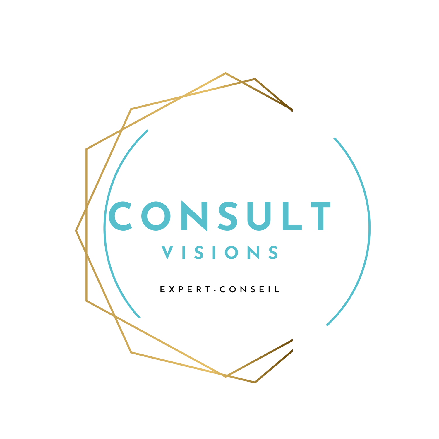 Consult-Visions inc.