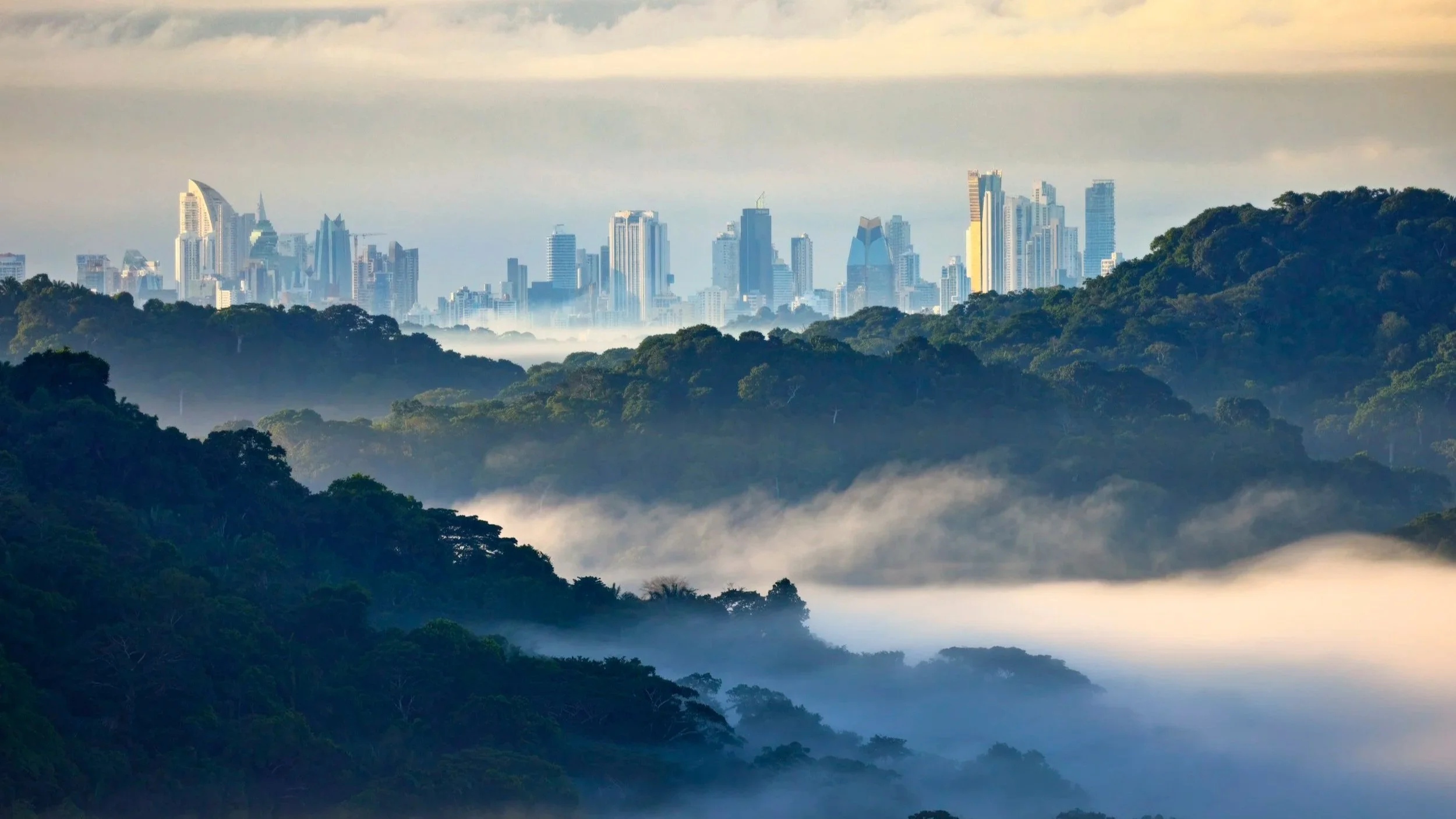 Vista de la ciudad de Miami en el fondo, con rascacielos y edificios altos, rodeada de vegetación y neblina en las áreas inferiores.