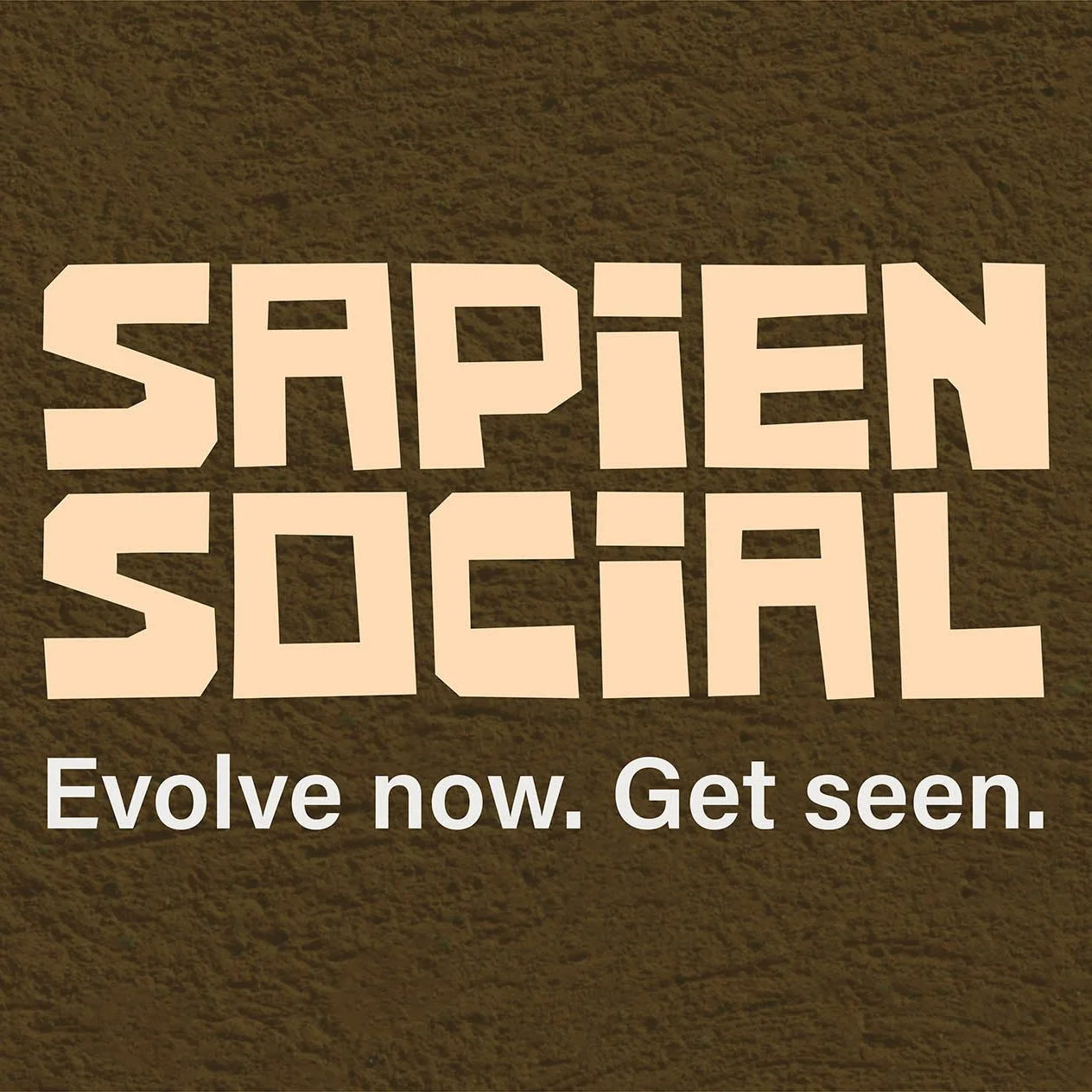 Sapien Social Agency – Evolve now. Get seen. Full brand identity design, social media graphic templates, Google search ads, and comprehensive social media management for local businesses