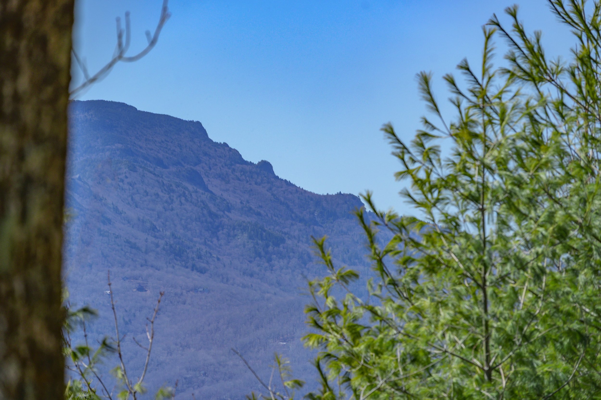 tlb_031125_2754.JPG