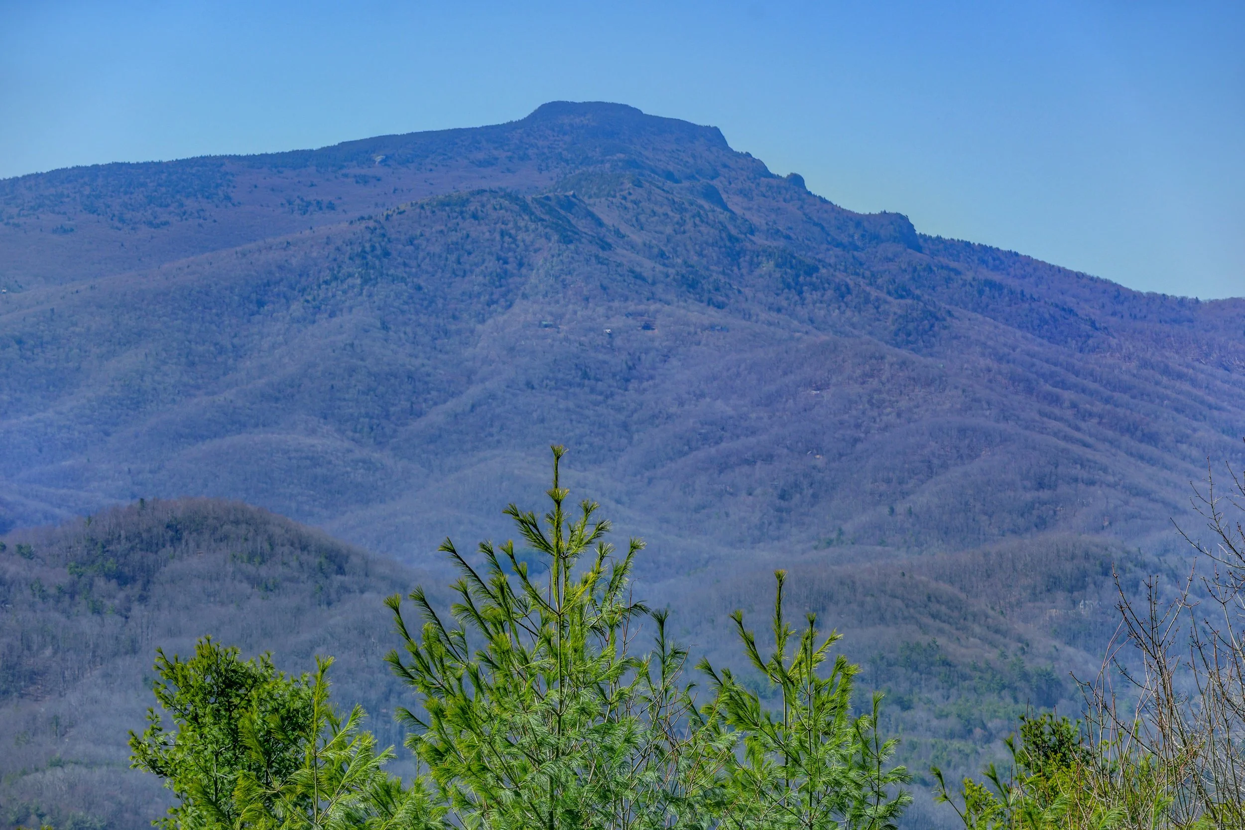 tlb_031125_2743.JPG