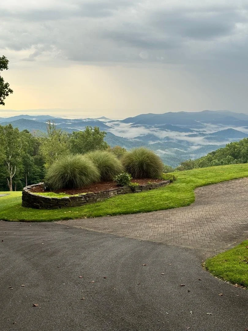 Left side of driveway.jpg