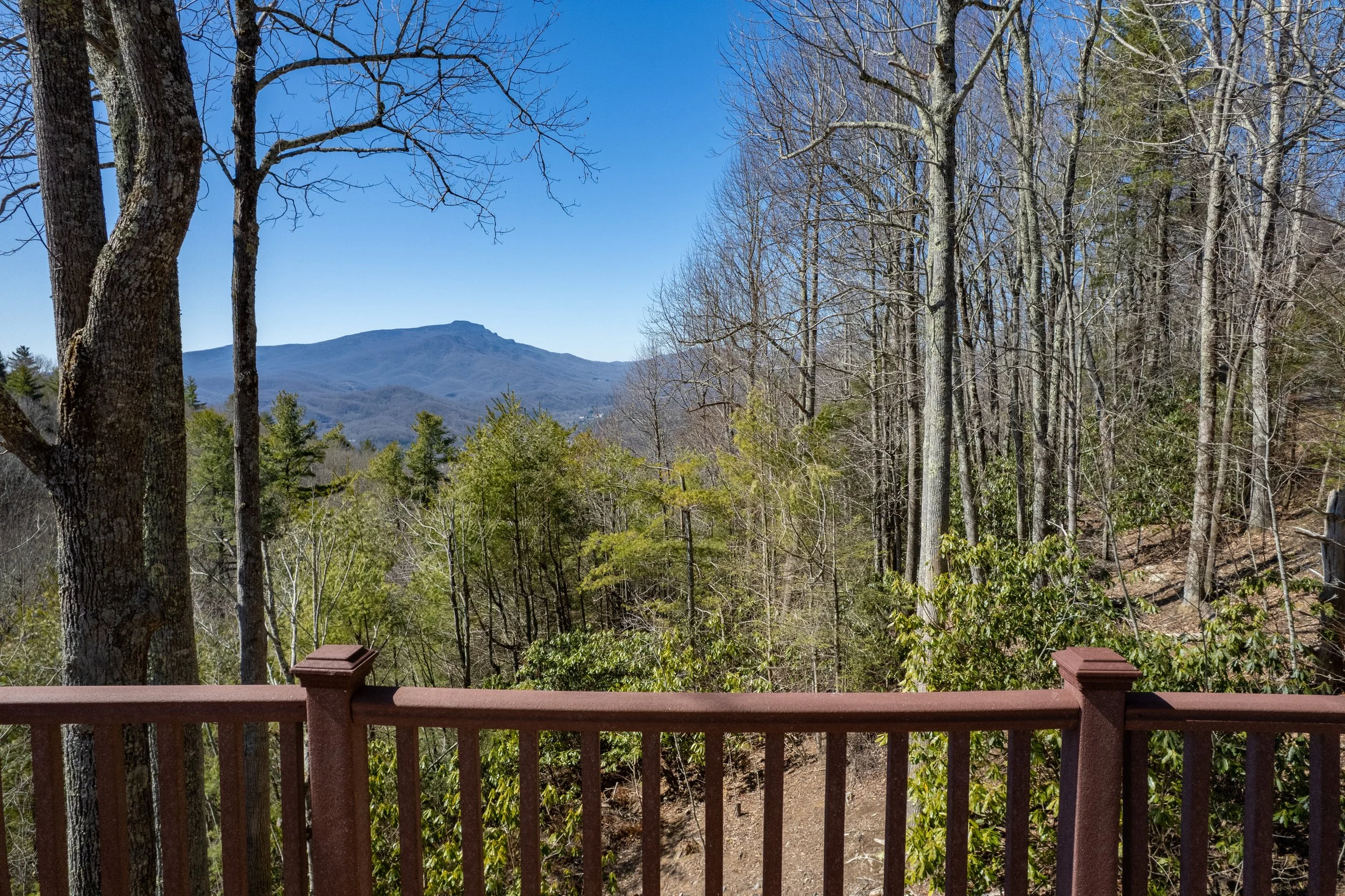 tlb_031125_3059.JPG