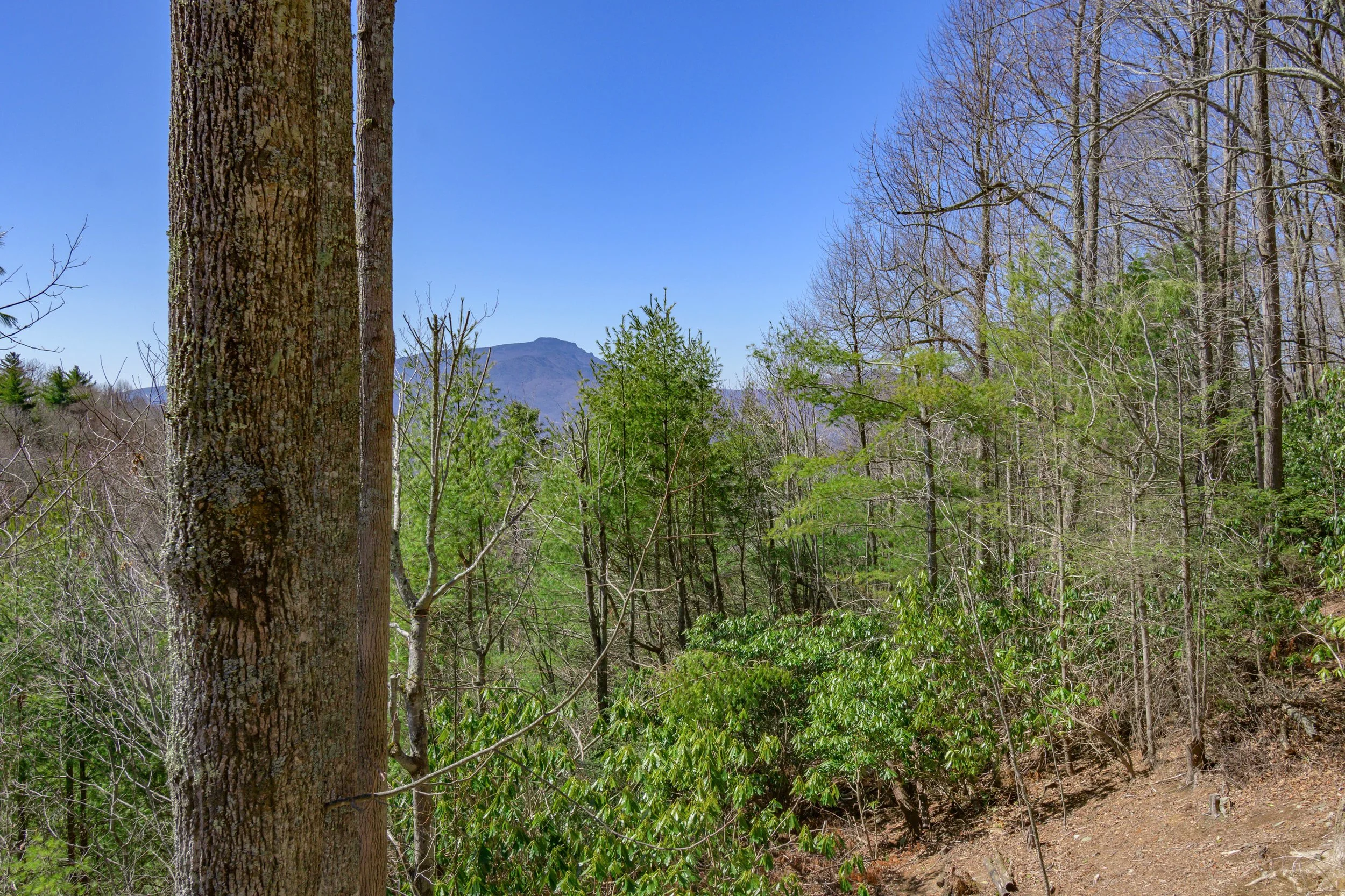 tlb_031125_2752.JPG