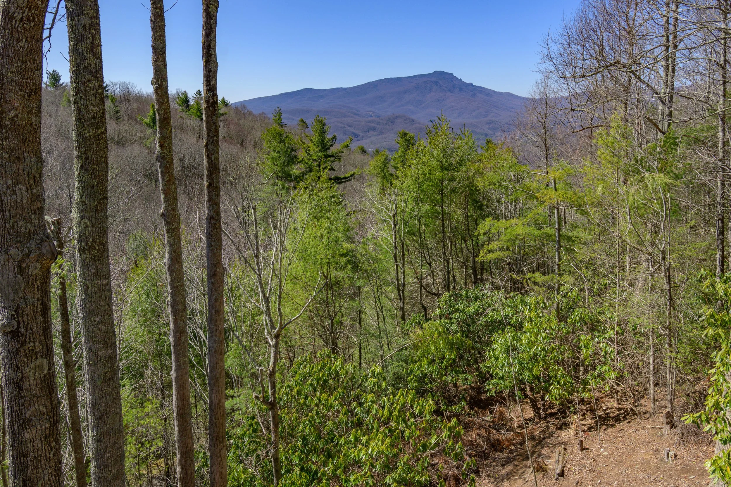 tlb_031125_2740.JPG