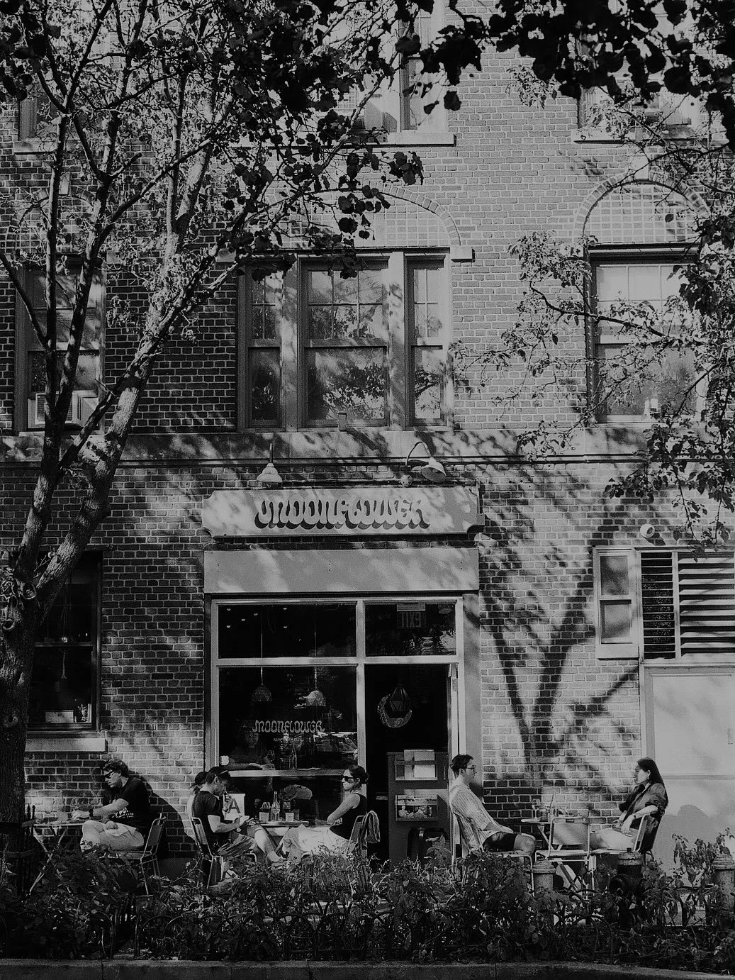 somewhat recently from my Pentax (verticals)