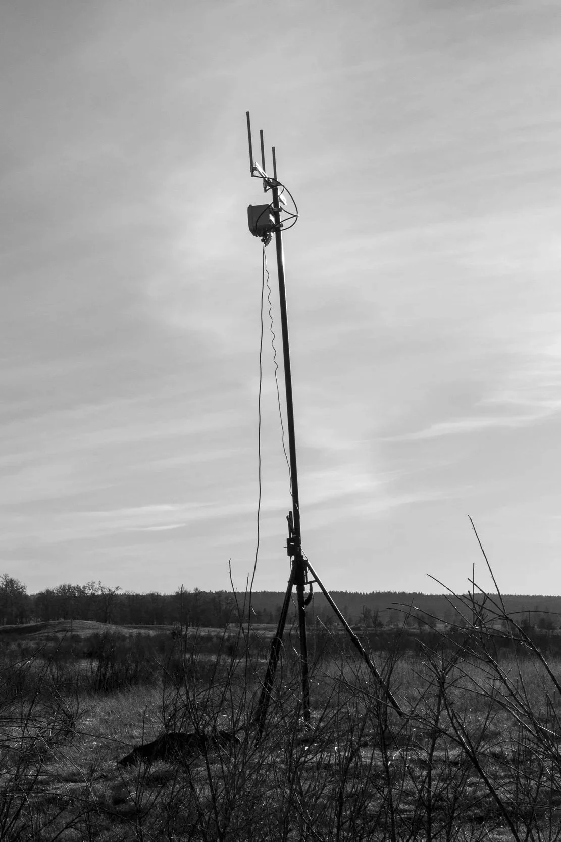 DSC_1070.jpg